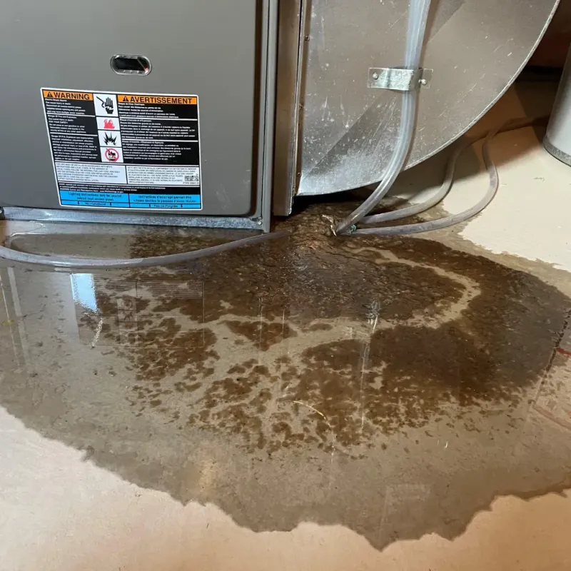 Appliance Leak Cleanup in Collinsville, VA